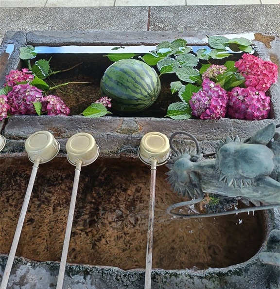 2202605301409480.jpg